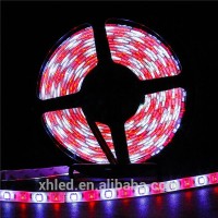 Elation FLEX PIXEL WP | 10' Flexible 60 RGB SMD Tri Color LED Pixel Tape with Waterproof Cover